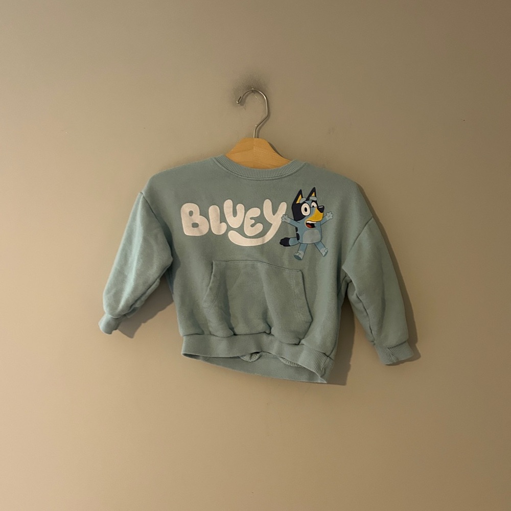 $22 ADD ON Zara Bluey sweatshirt 2-3Y Columbia Patagonia Burts Bees Baby Crocs